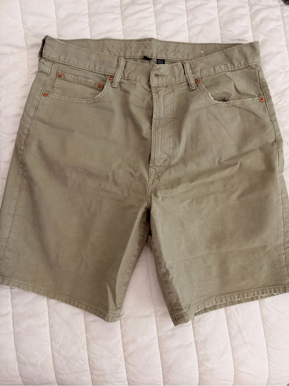 American Eagle Outfitters Olive/Tan Flat Front Men's Shorts